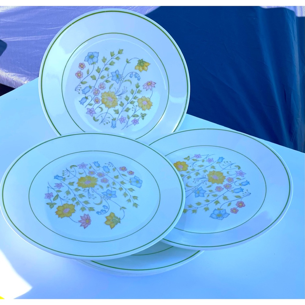 Corelle by Corning Meadow Pattern  Set Of 6 Dinner Plate 10 1/8" 1977-1985 U.S.A